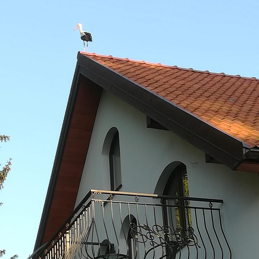Gosciniec Twoje Mazury Nad Jeziorem Sniardwy Tuz Obok Plazy ノベ・グティ エクステリア 写真